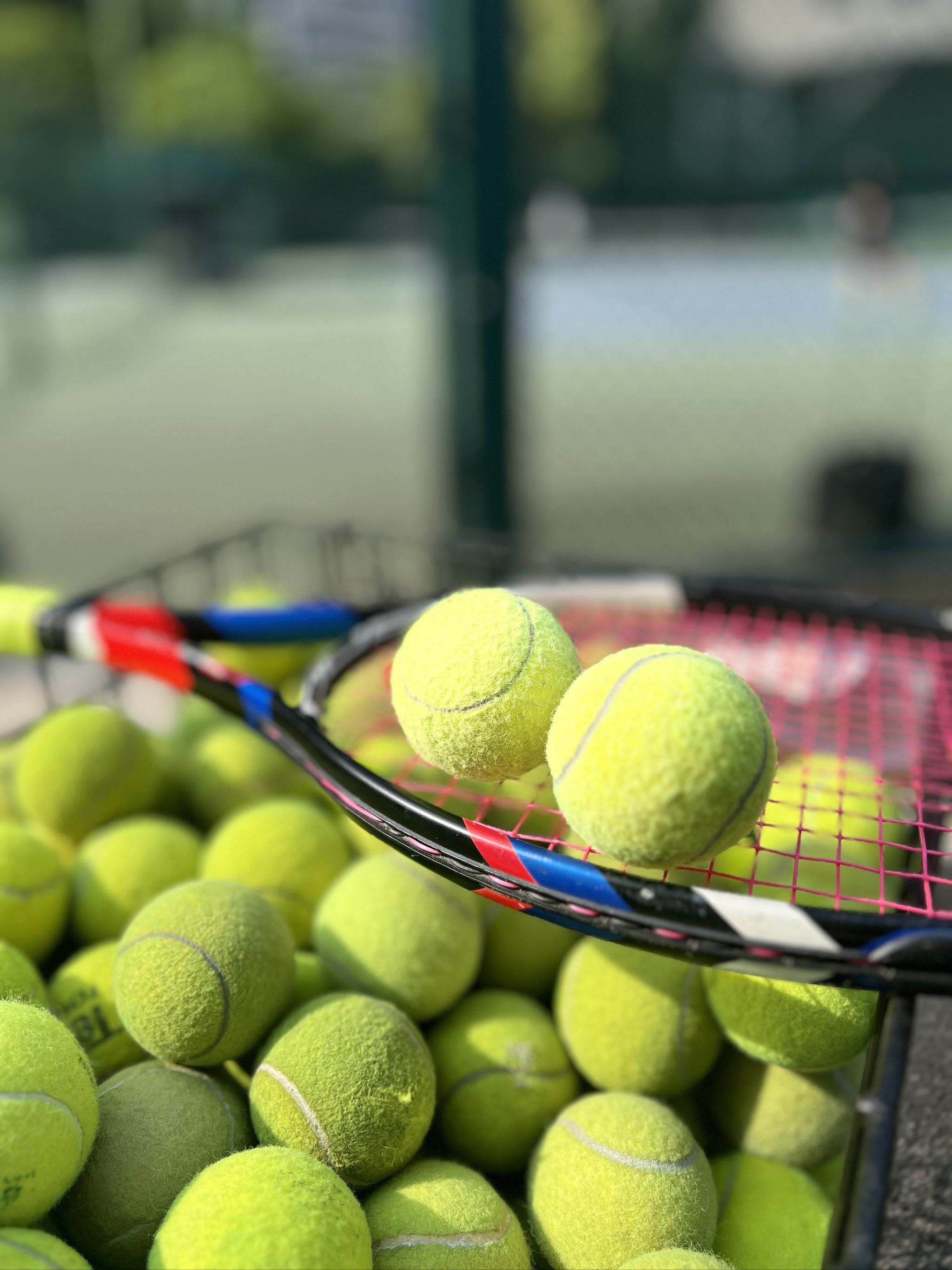 也非常重要 也非常重要